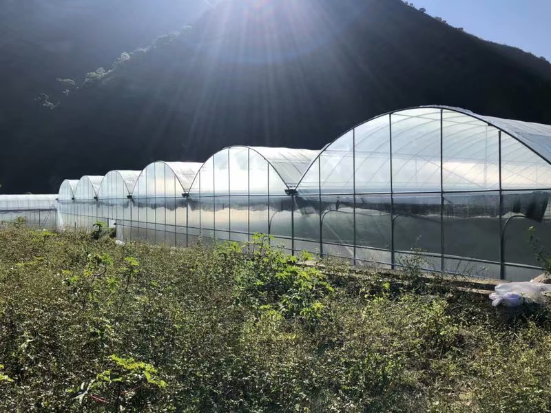 土壤鹽分檢測(cè)儀，可輔助溫室大棚種植